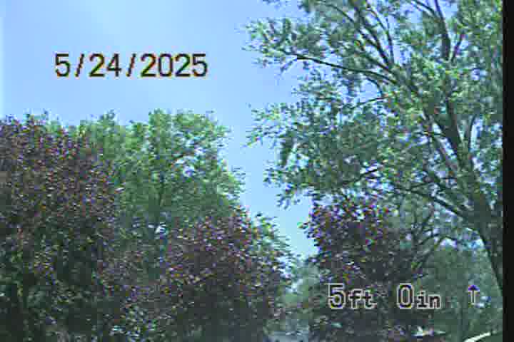Frame